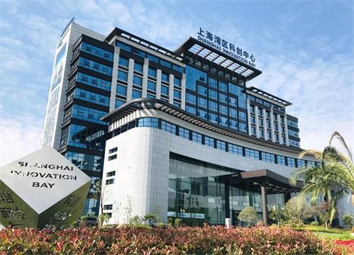 從“科創(chuàng)園區(qū)”到“城市名片” 上海灣區(qū)如何實現品牌躍遷