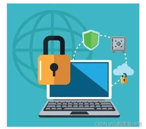 網(wǎng)絡安全專家核心技能與必備工具指南
